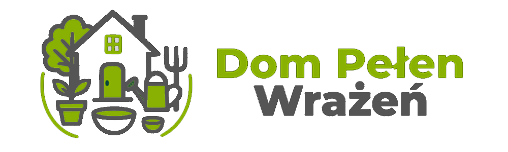 Dom Pełen Wrażeń